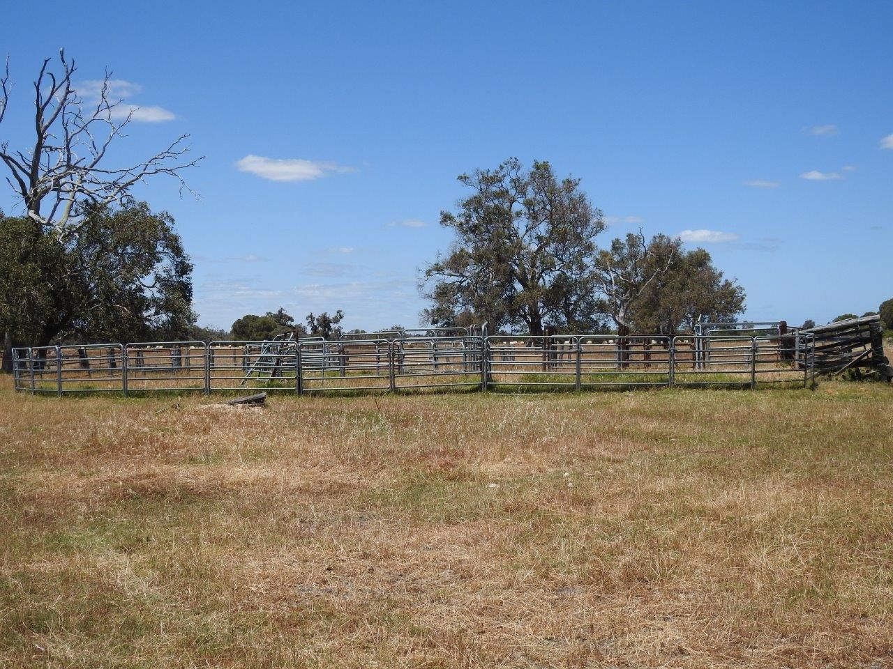 LOT 603 Thompson Road, West Pinjarra WA 6208, Image 2