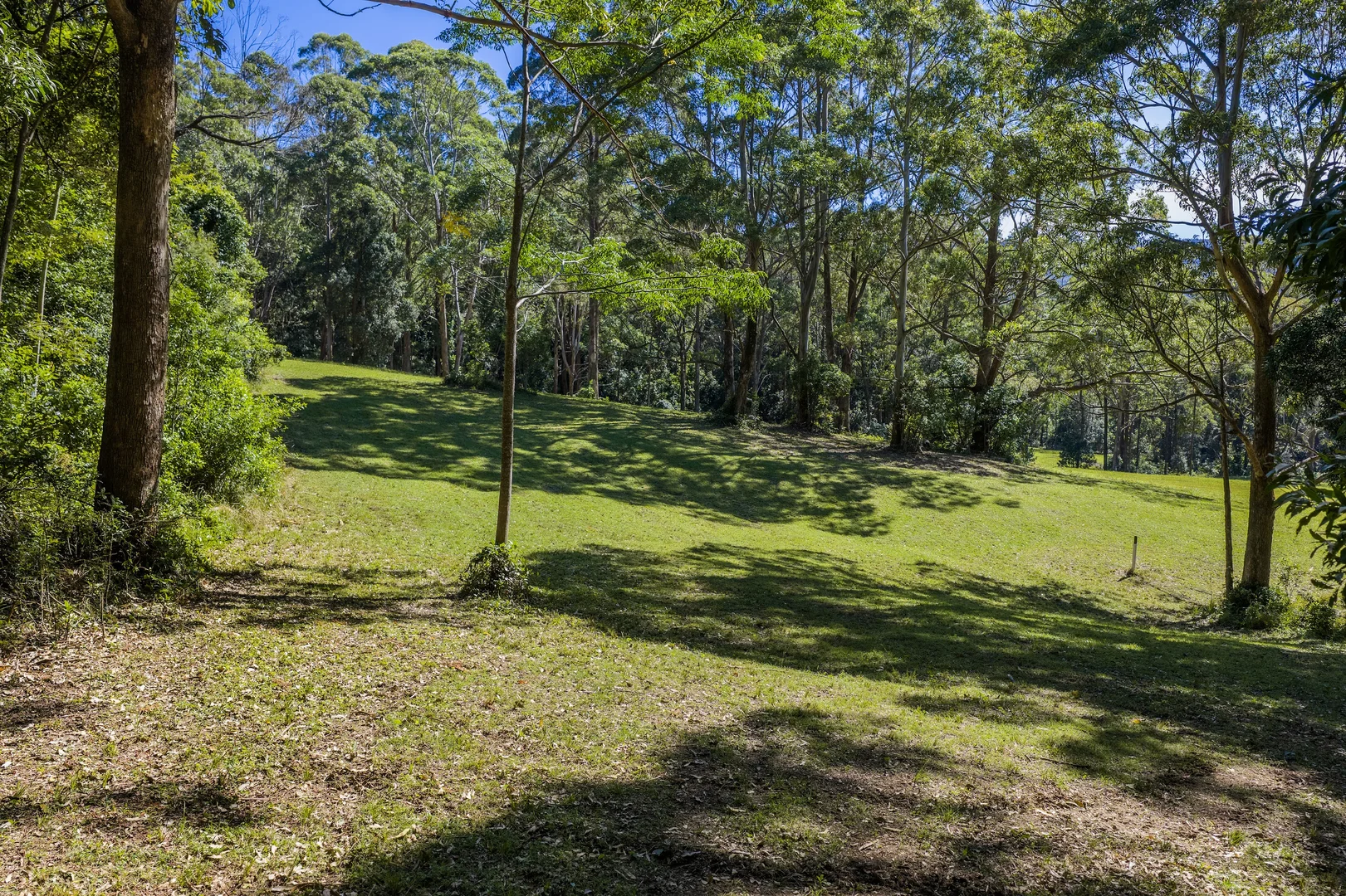 Image 10