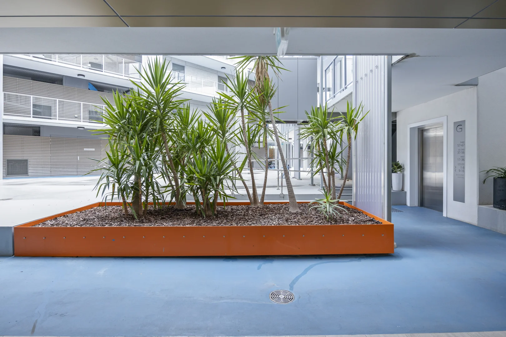 Image 15