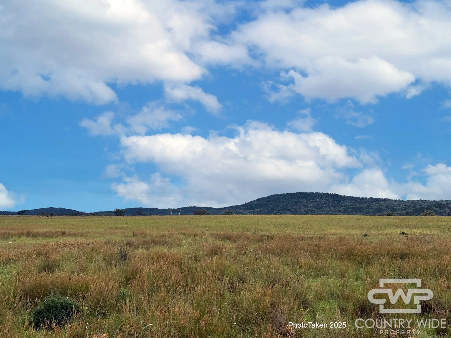 989 South Valley Road, Rocky Creek NSW 2371