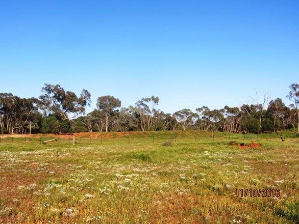 * Salt Bush Holdings, Cobar NSW 2835, Image 0