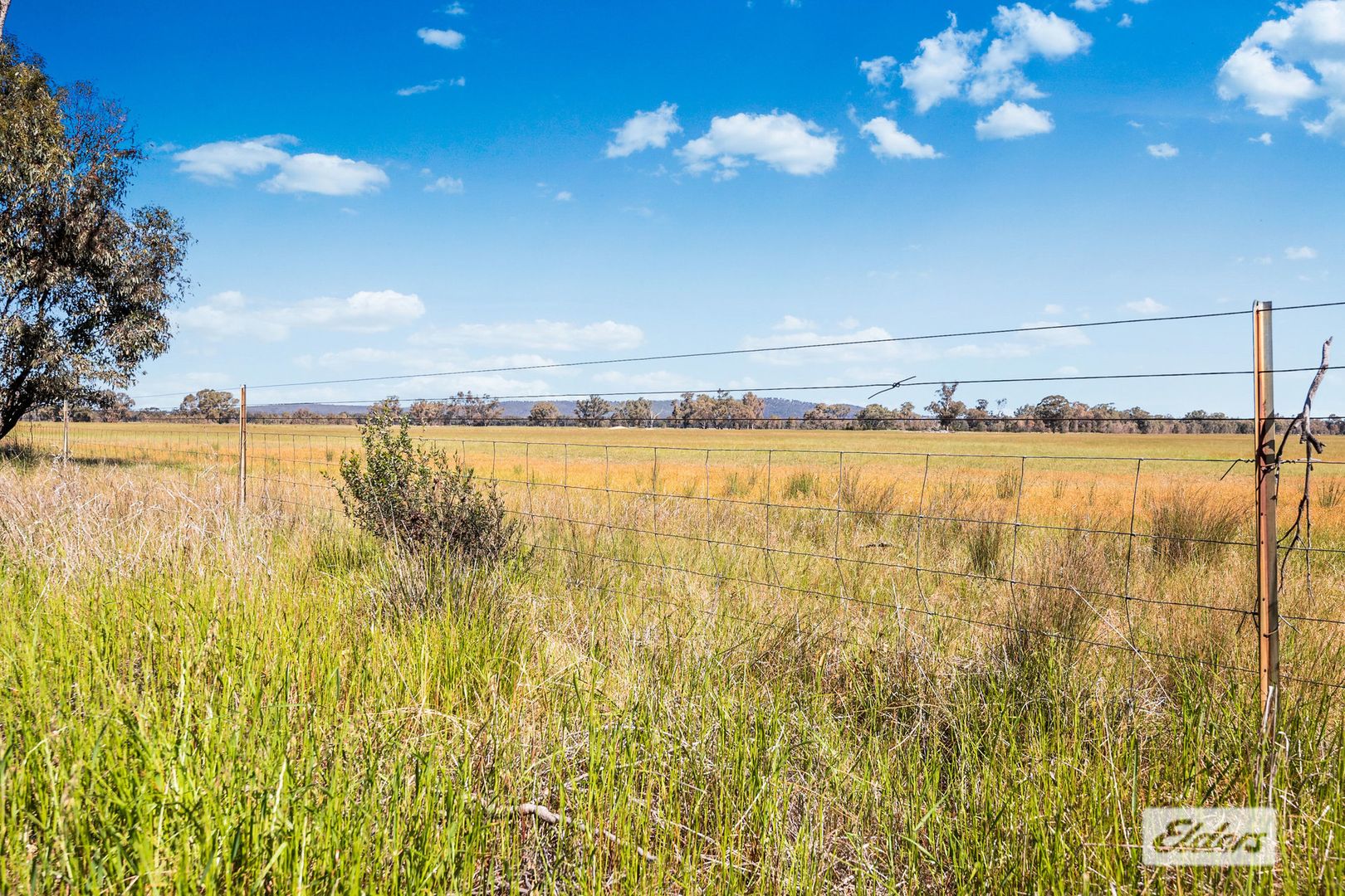 Arabella Lane, Kurting VIC 3517, Image 2