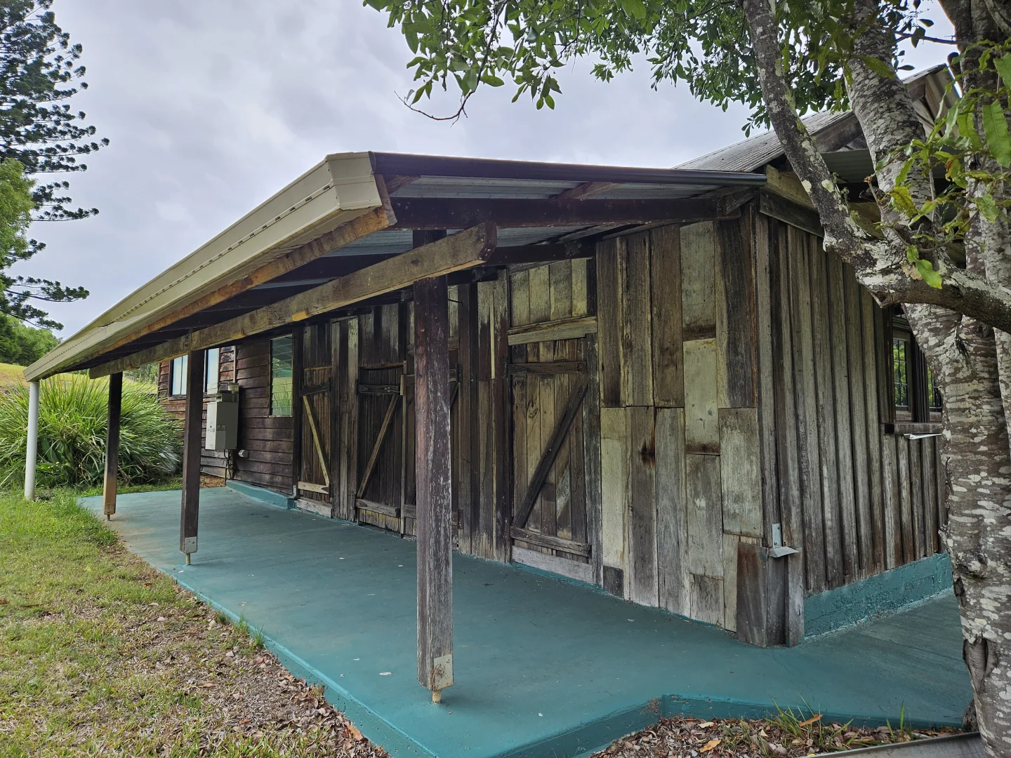 Image 23