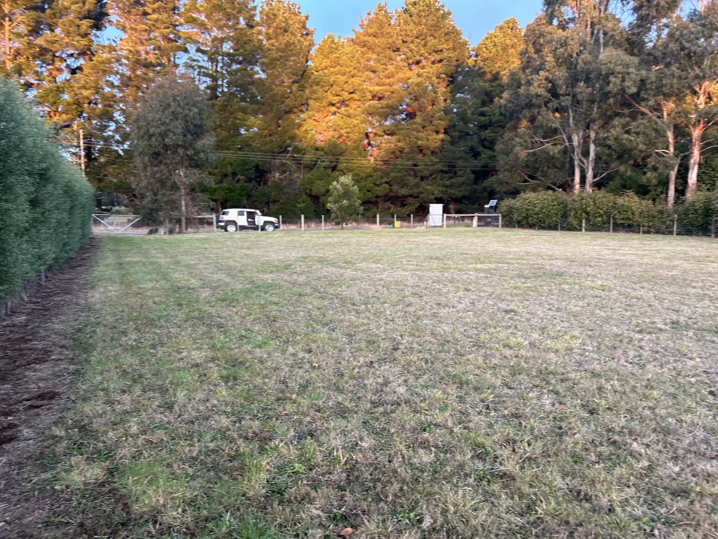 Image 7