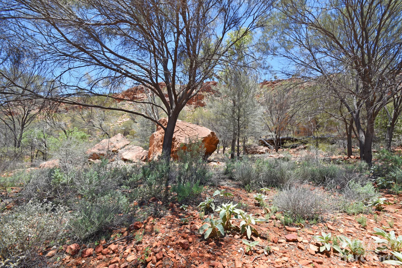 Additional image 22 of 24 Swanson Road, Ilparpa NT 0873