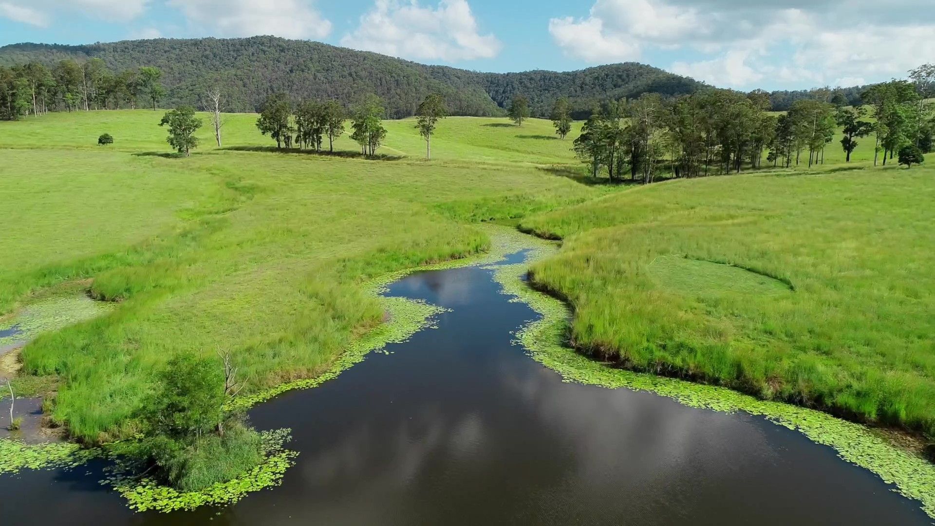 423 Cowal Creek Road, Bellangry NSW 2446, Image 0