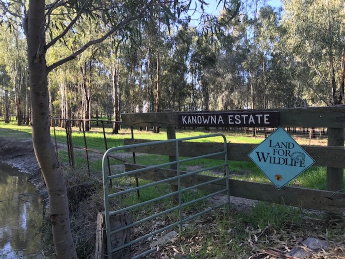 317 Lilford Lane, Barham NSW 2732, Image 1