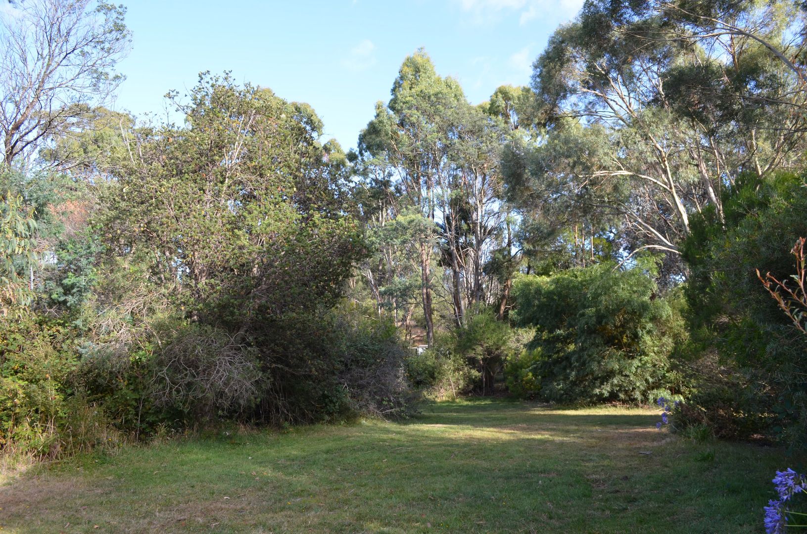 55 Devon Hills Road, Devon Hills TAS 7300, Image 2