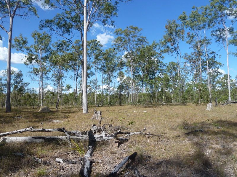 Lot 80 Glenbar Road, Glenbar QLD 4620, Image 1