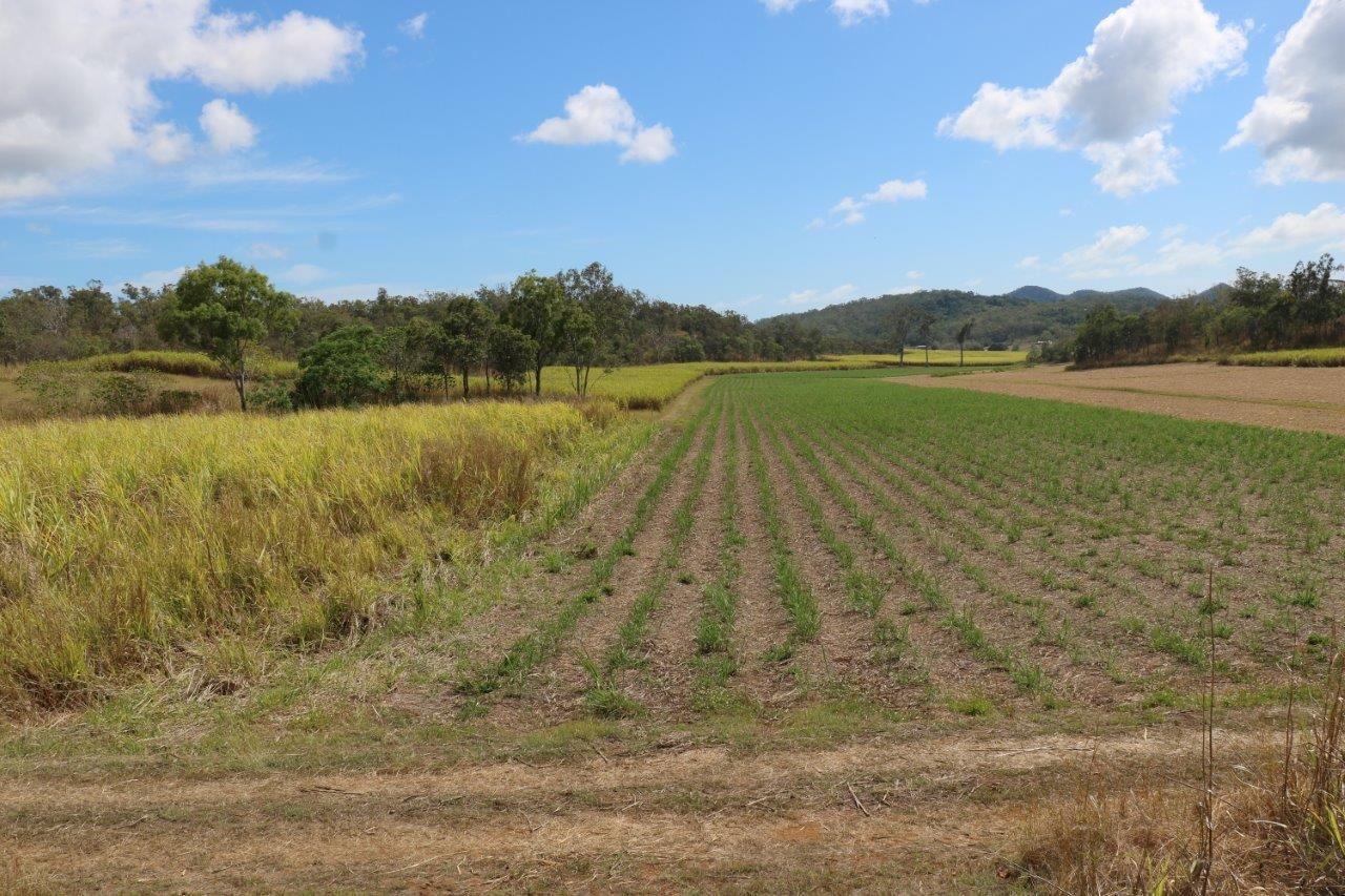 Mount Jukes QLD 4740, Image 0