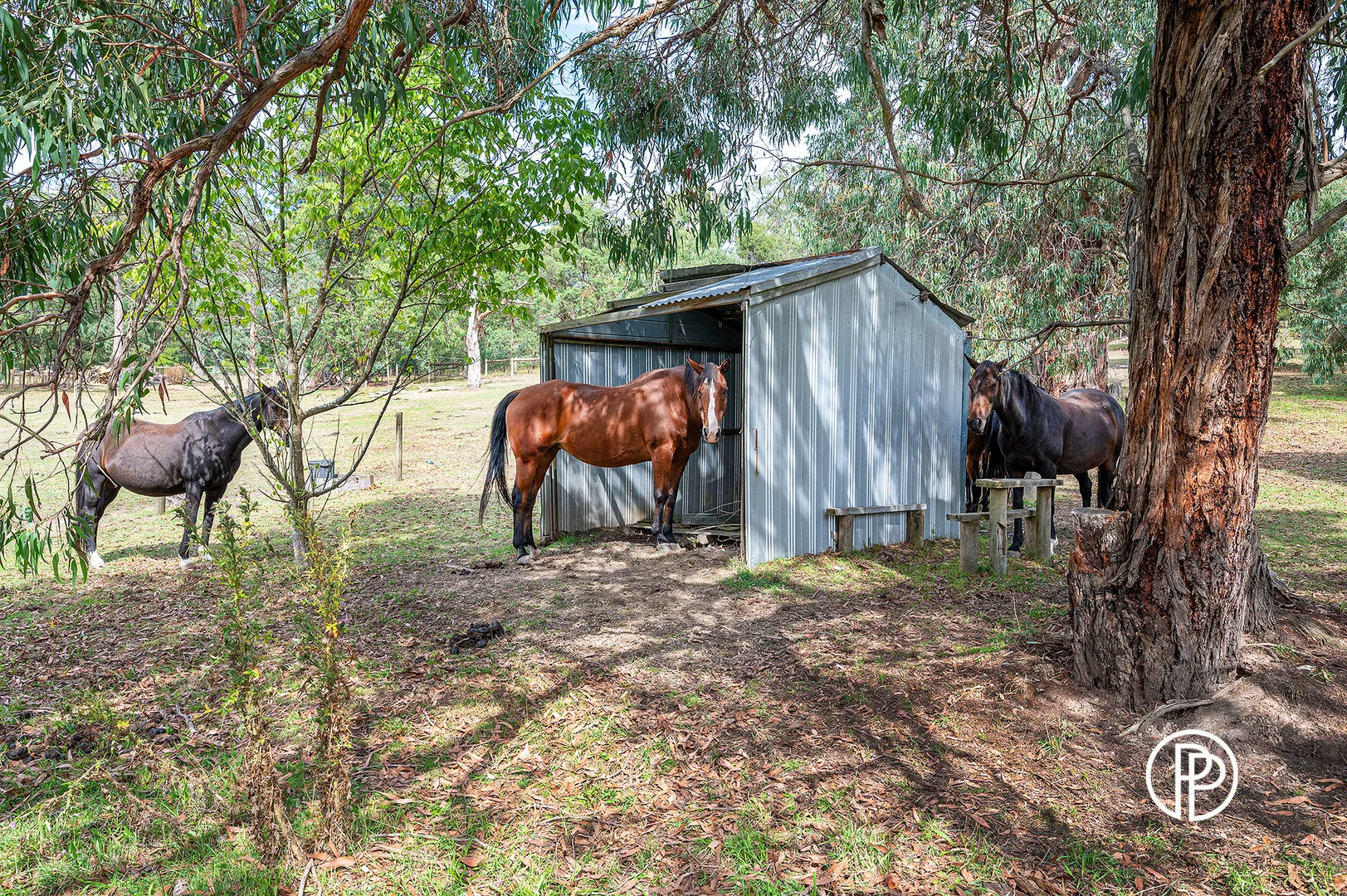 Additional image 21 of 95 Killearn Road, Launching Place VIC 3139
