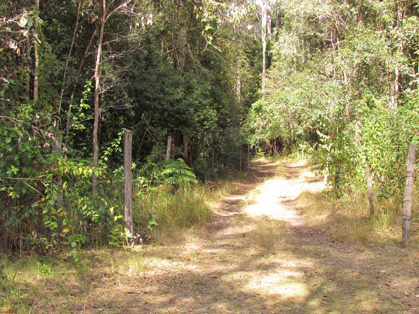 419 Tullymorgan-Jackybulbin Road, Tullymorgan NSW 2463, Image 2