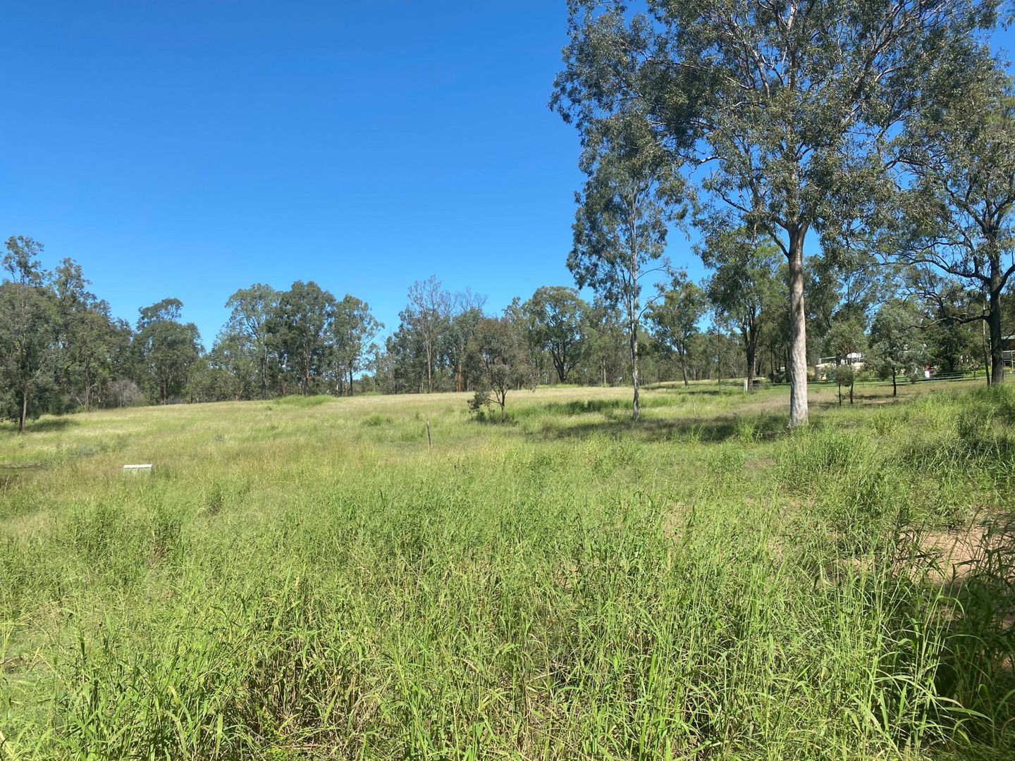 167 Grantham Scrub Road, Veradilla QLD 4347, Image 1