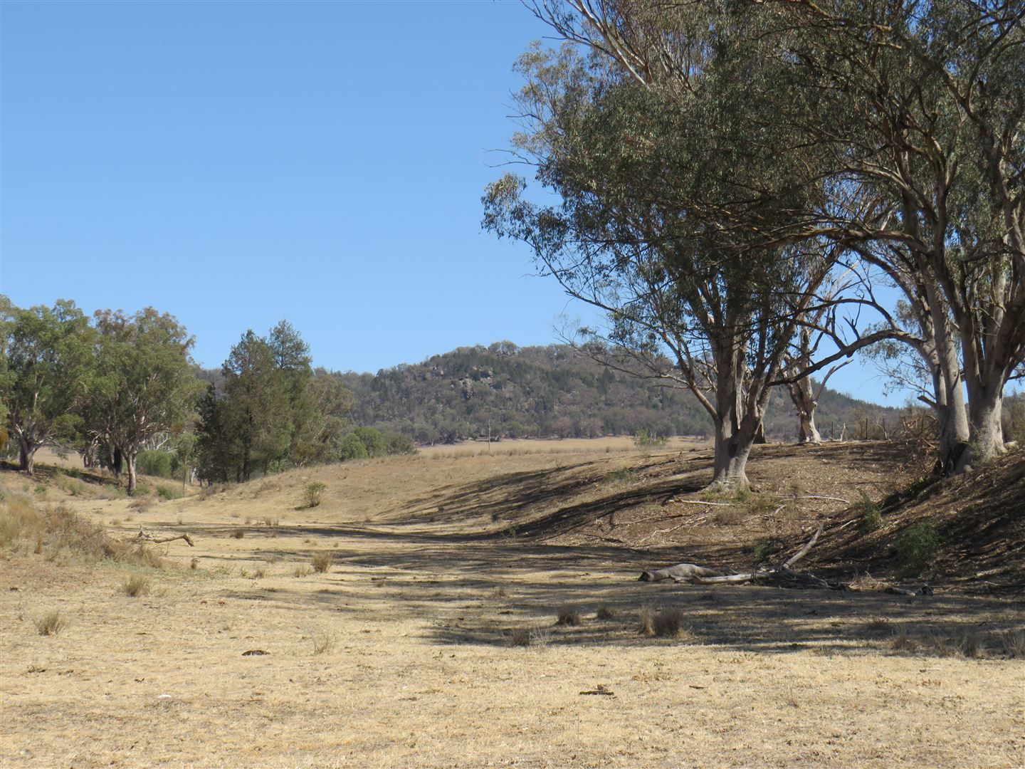 Kootingal NSW 2352, Image 0