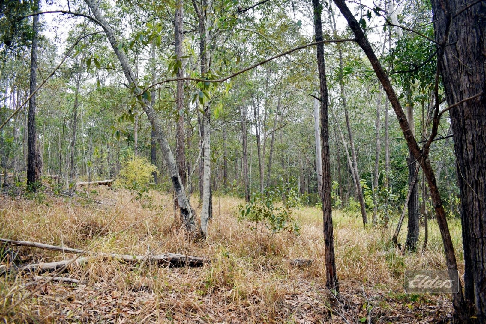 Lot 692 Arbortwentysix Road, Glenwood QLD 4570, Image 2