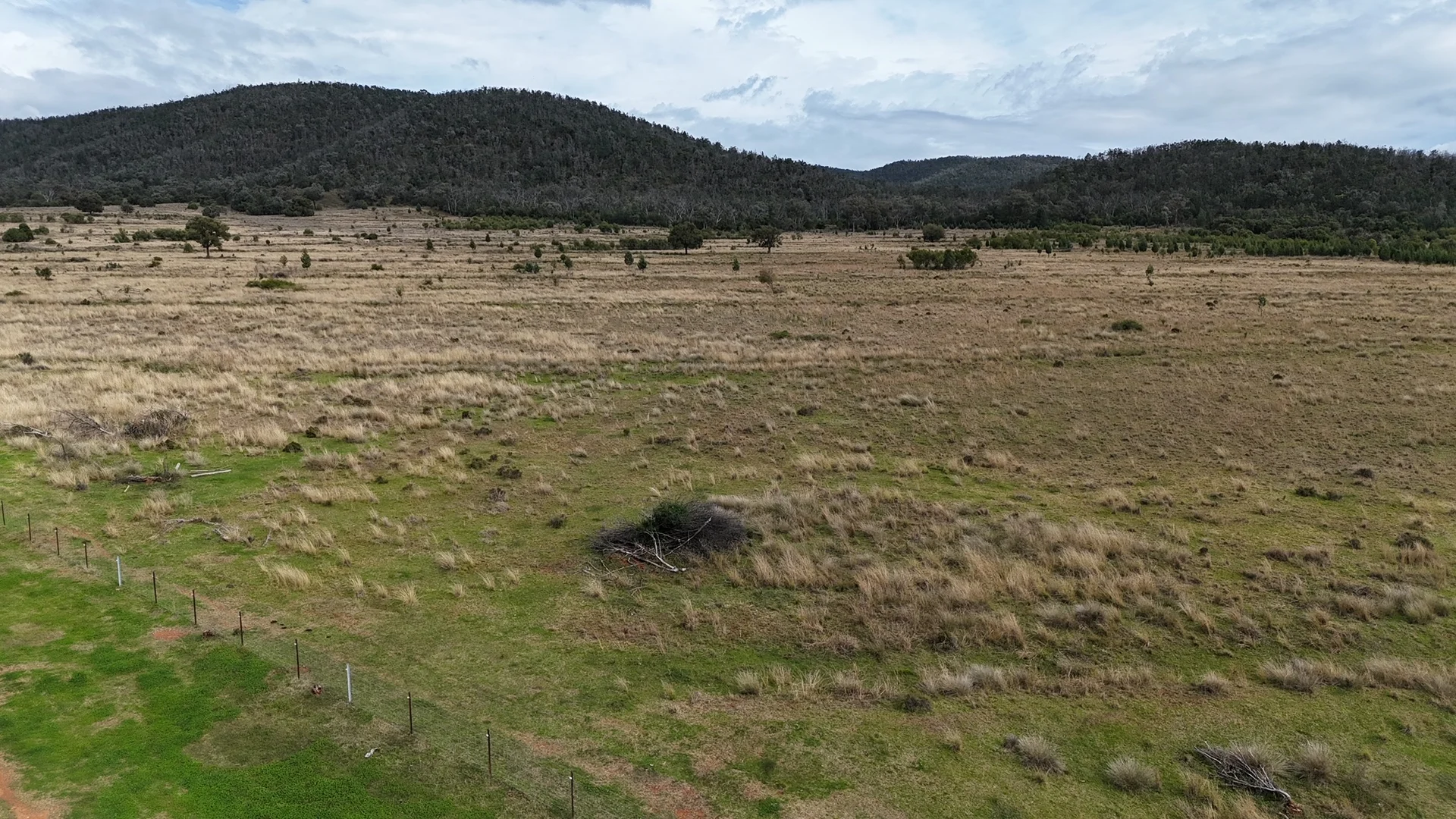 Image 15