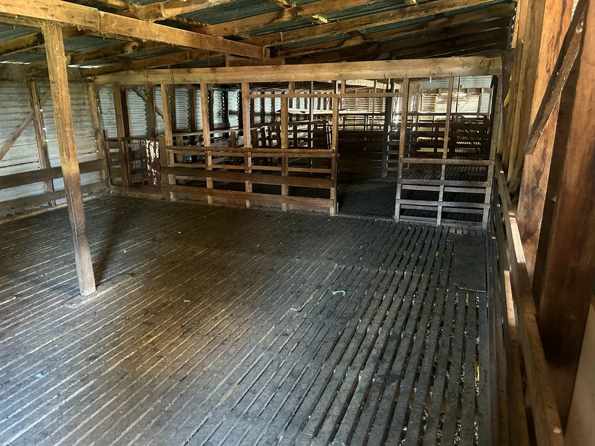 Image 8