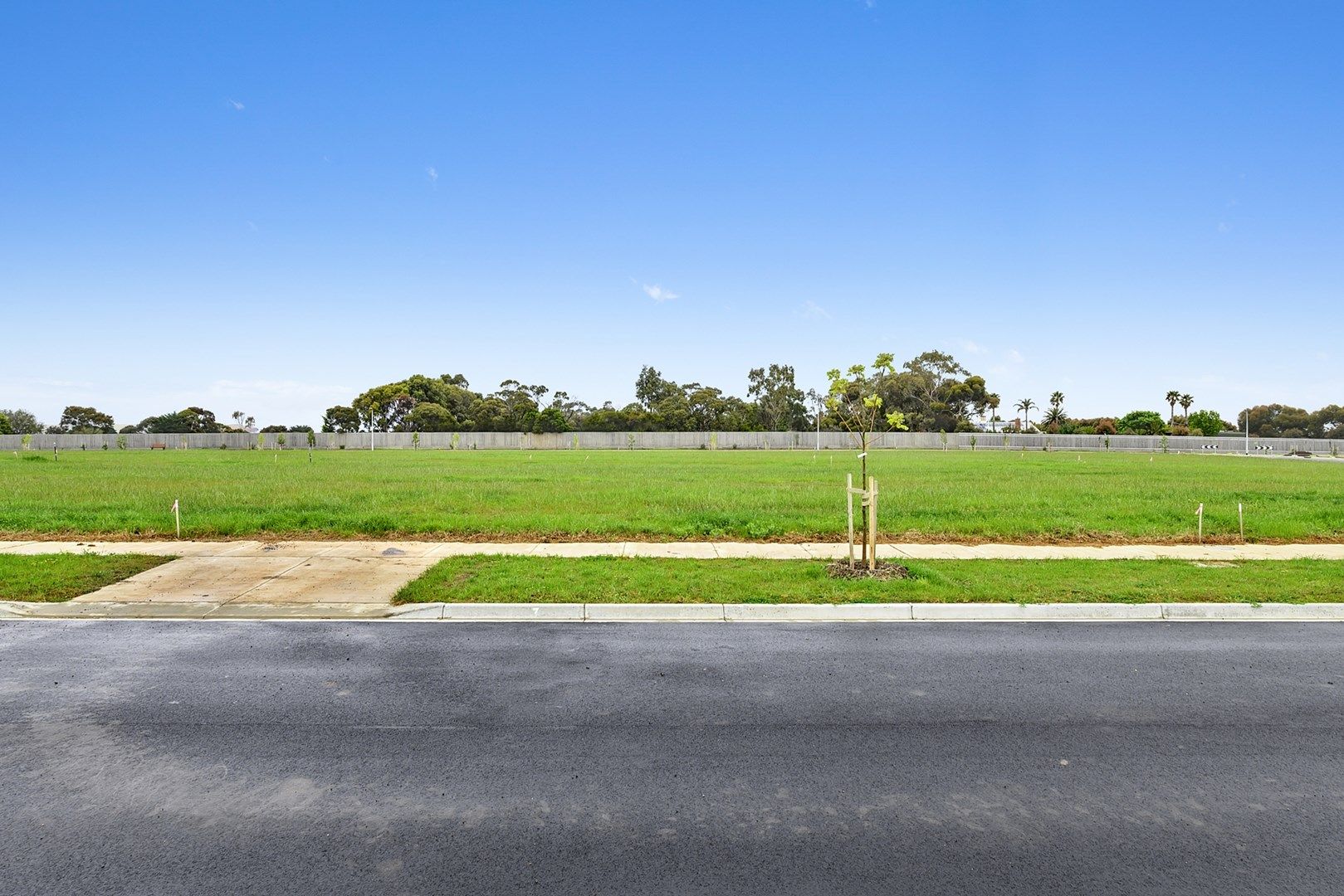 25 Kangaroo Paw Drive, Leopold VIC 3224, Image 0