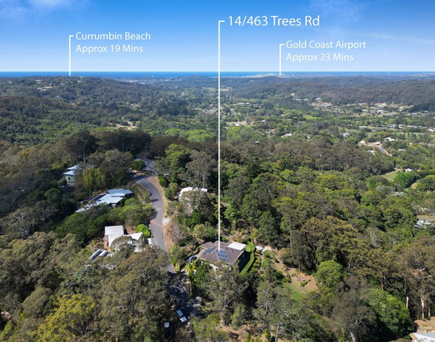 463 Trees Road, Tallebudgera QLD 4228