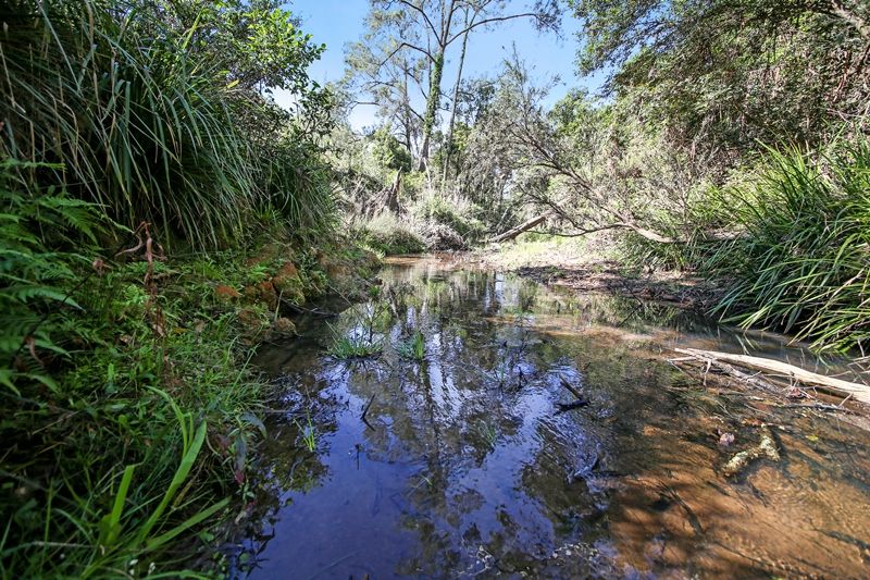 Lot 2761 Kangaroo Creek Road, Kangaroo Creek NSW 2460, Image 0