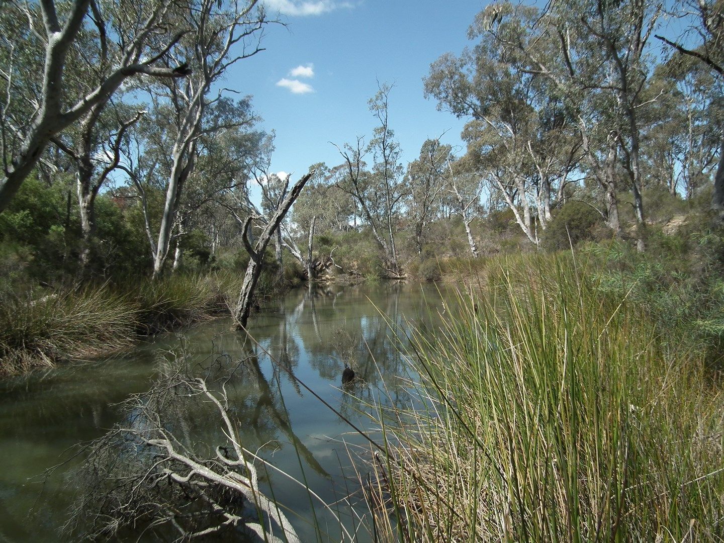 CA 20 and 21 Delaney Road, Nagambie VIC 3608, Image 1