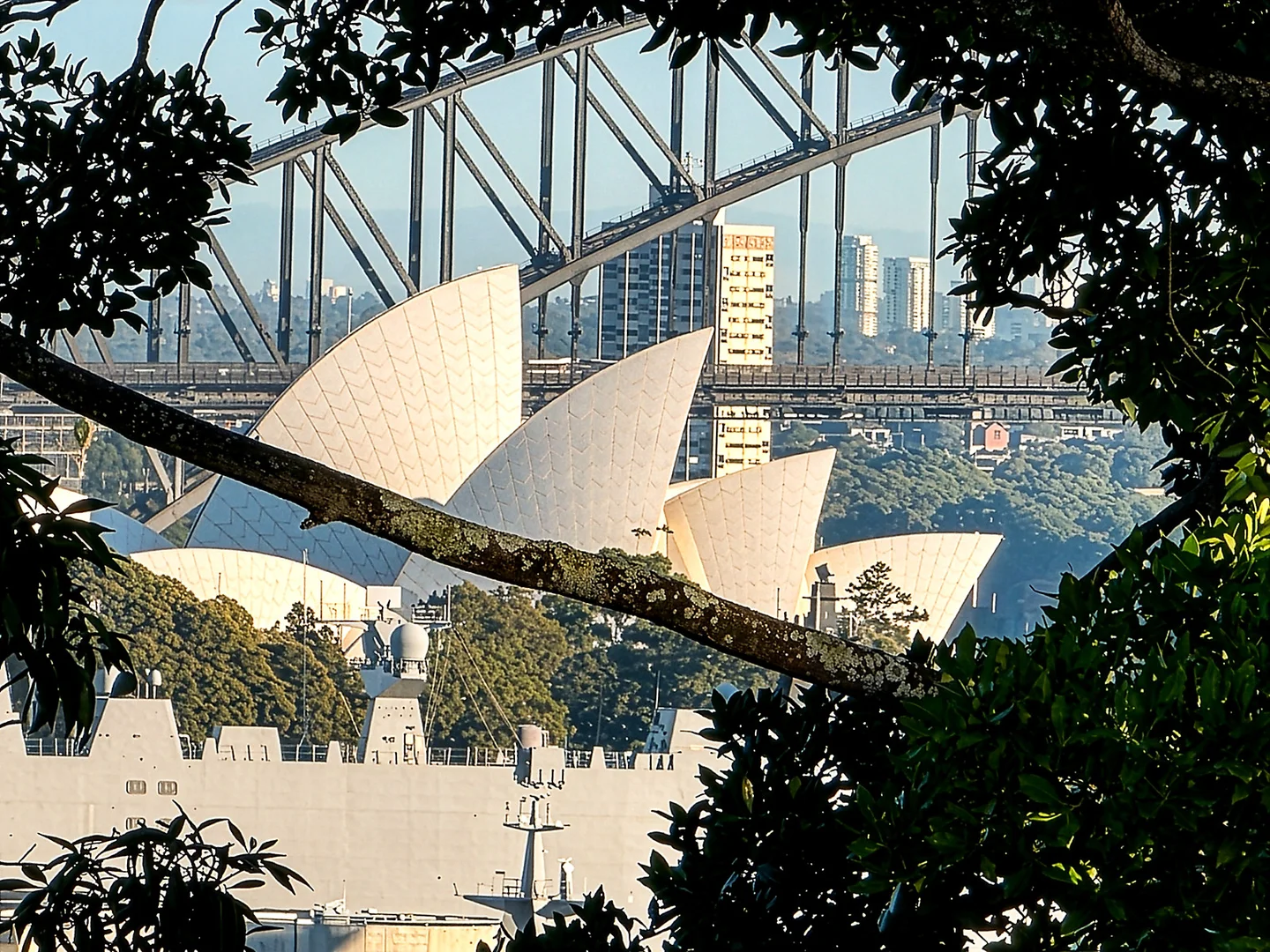 Image 9