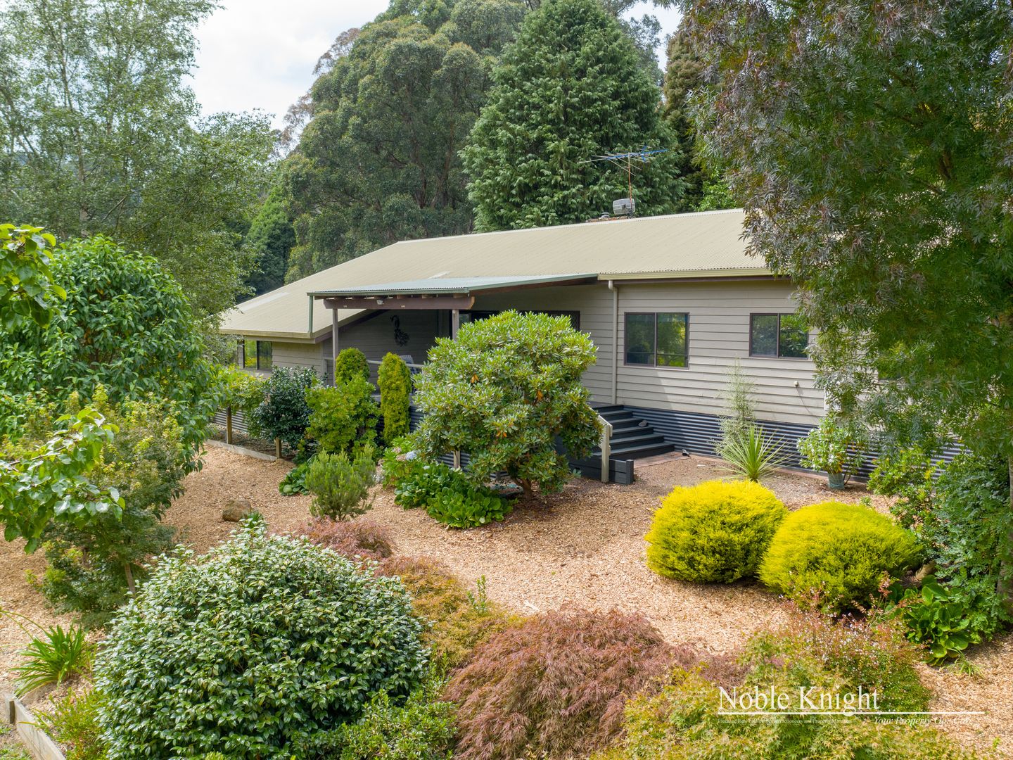 215 Spraggs Road, Toolangi VIC 3777, Image 2