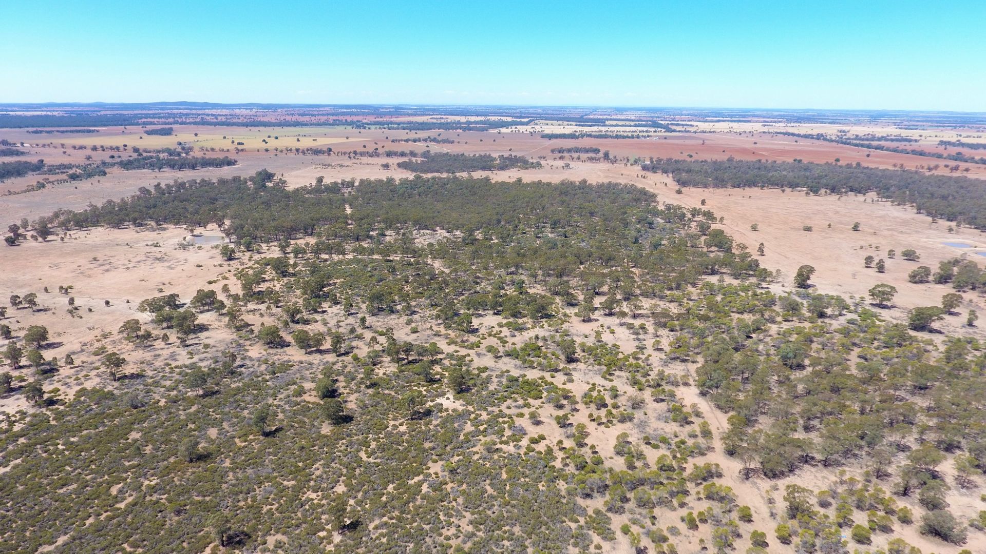 Sold 698 Wilga Ridge Road, Fifield NSW 2875 on 29 Nov 2019 - 2015820990 ...