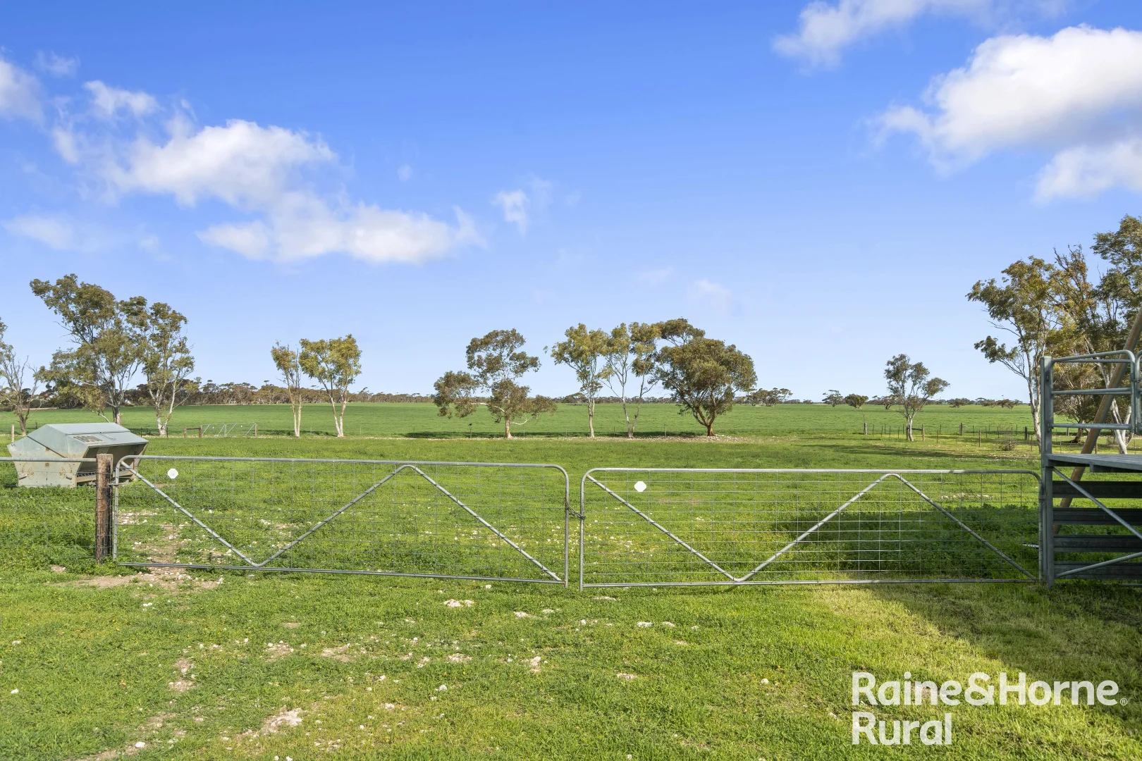 Additional image 33 of 714 Buccleuch South Road, Yumali SA 5261