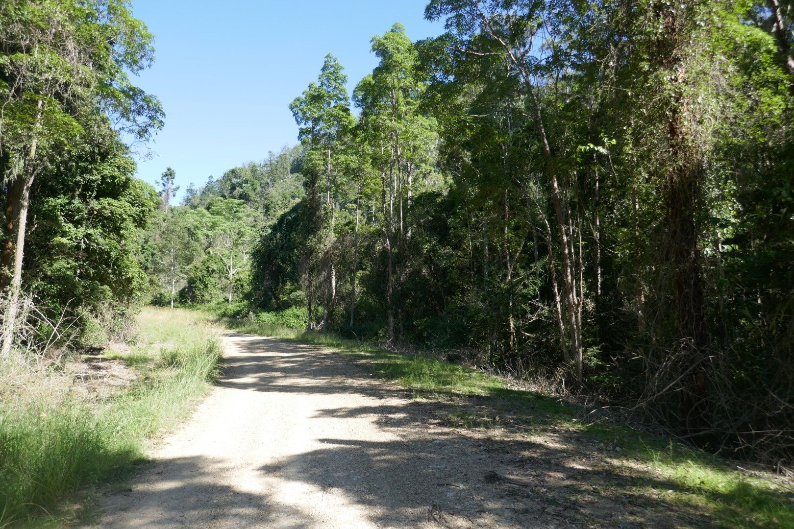 450 Sykes Gap Road, Tenterfield NSW 2372, Image 2