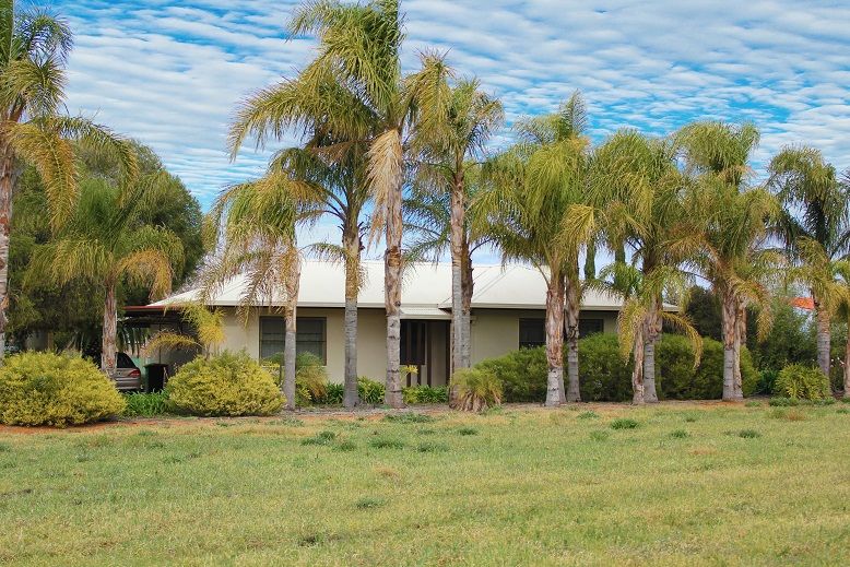 168 Derrick Road, Loxton North SA 5333, Image 1