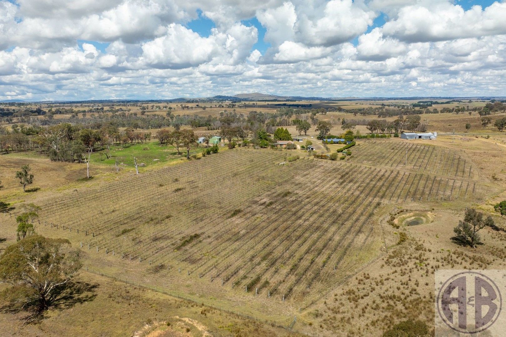 Kingstown Road, Uralla NSW 2358, Image 0