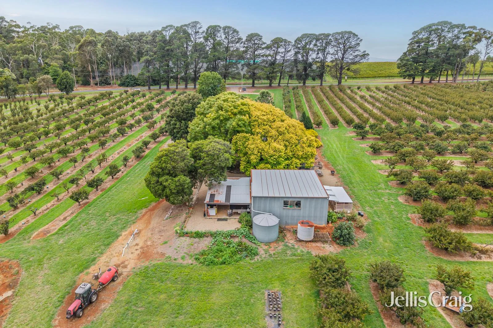 Additional image 7 of 56 Monbulk-Seville Road, Seville VIC 3139