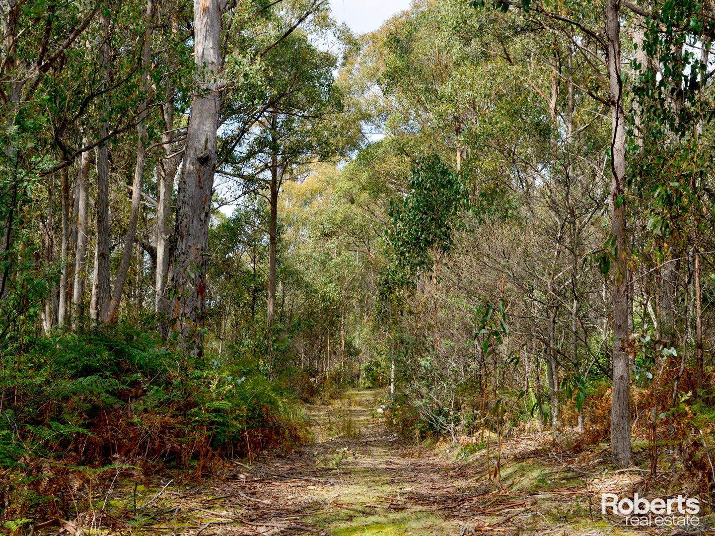 699 Church Road, Dromedary TAS 7030, Image 1