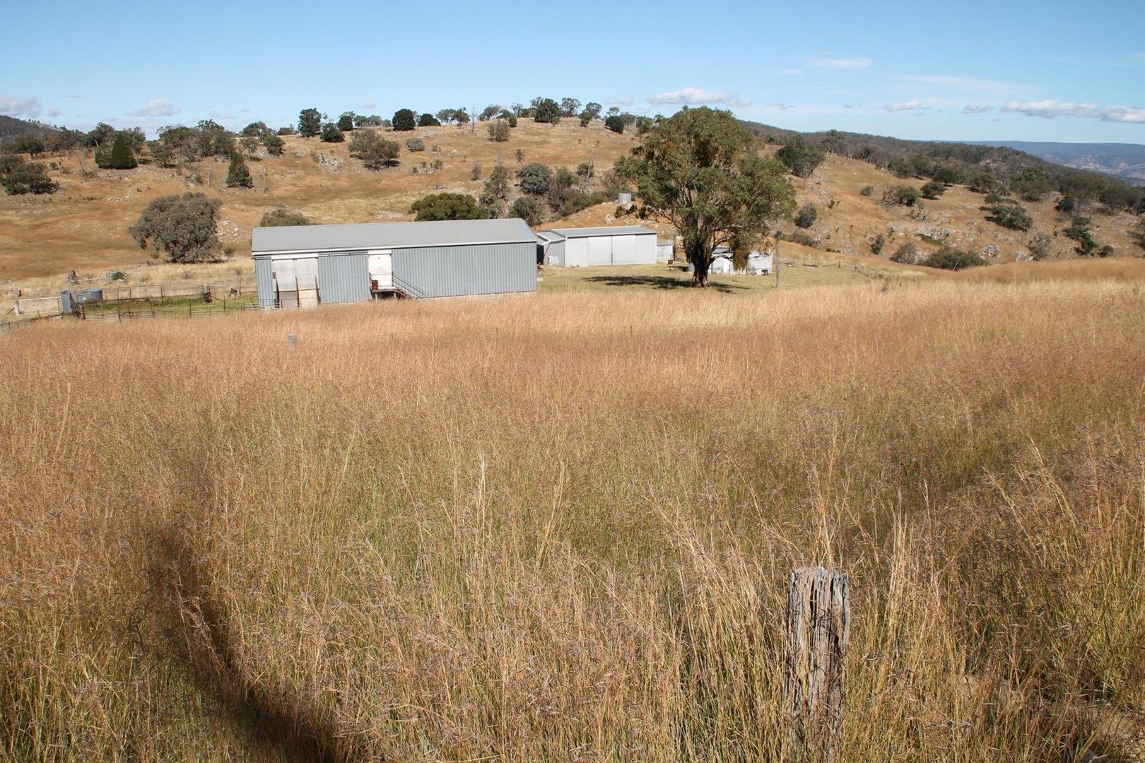 Lot 15 Gunyah Road, Tenterfield NSW 2372, Image 0