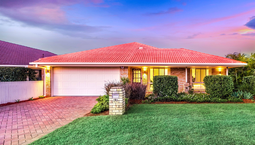 Picture of 20 Rosewood Place, RUNCORN QLD 4113