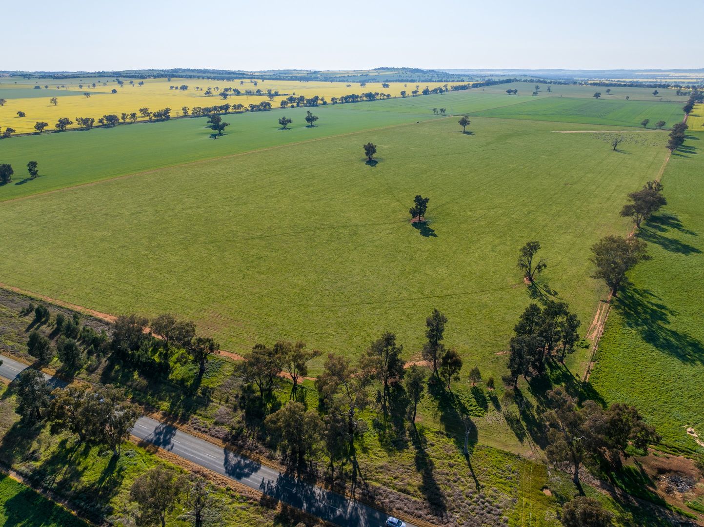 'Part Talavera' Marrar Road, Downside NSW 2650, Image 1