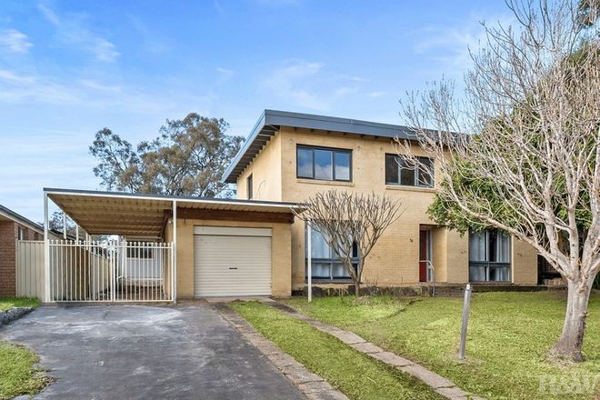 Picture of 38 Mitchell Drive, GLOSSODIA NSW 2756