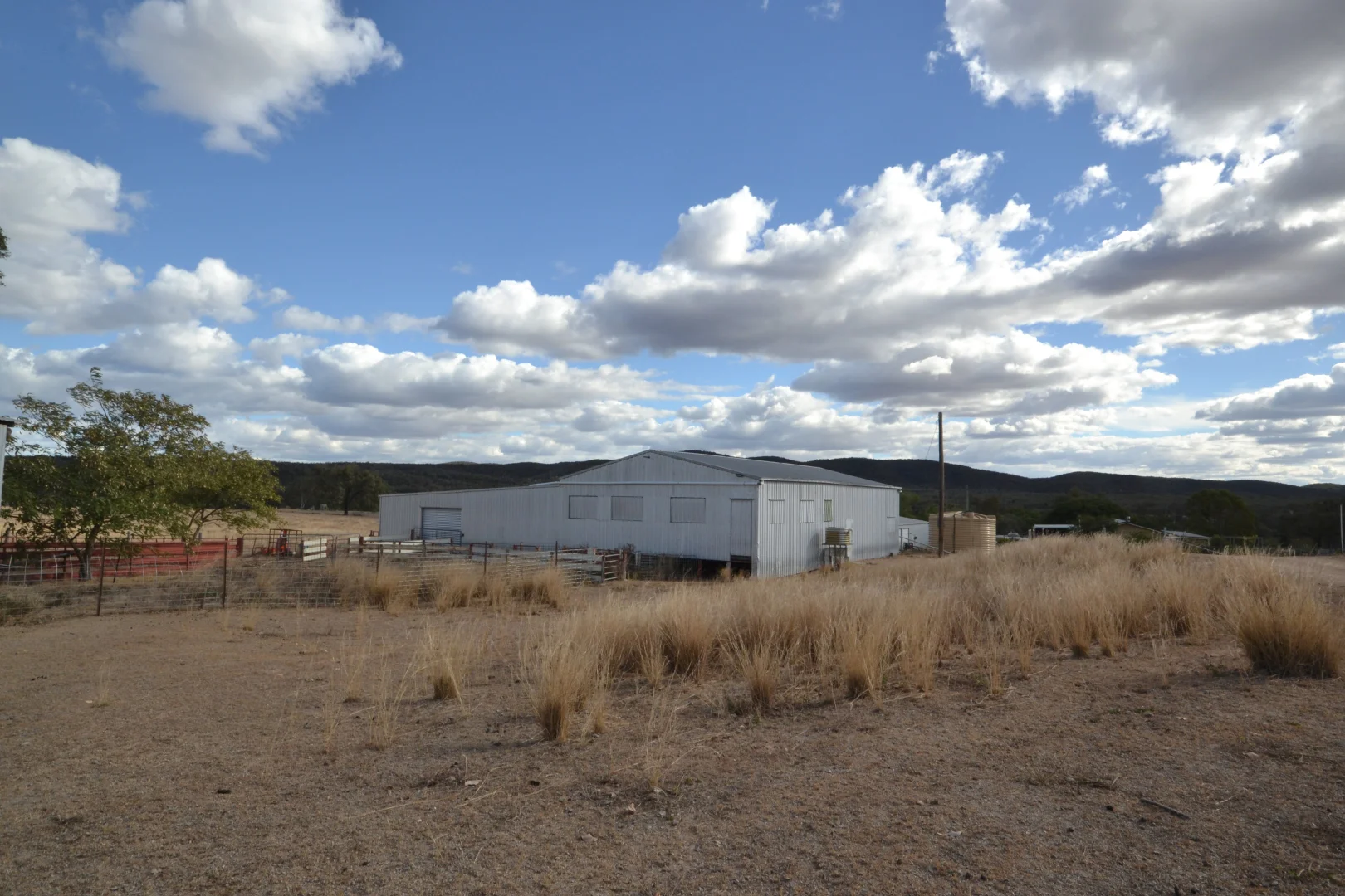 Image 11