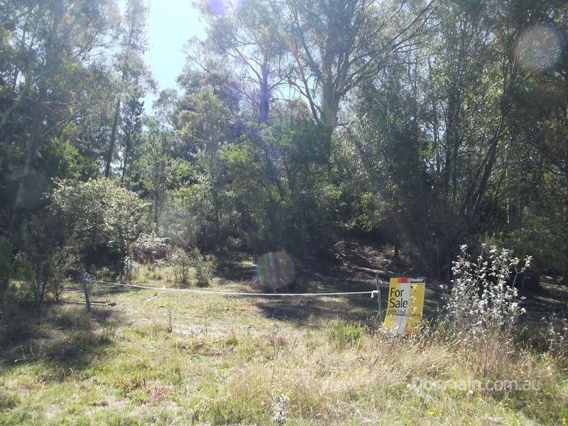 Lot 1 Lennox Street, CORNWALL TAS 7215, Image 2