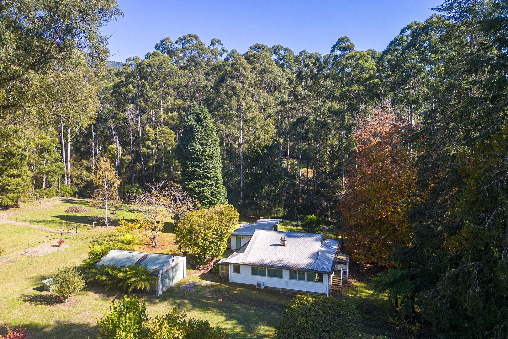 220 Big Pats Creek Road, Big Pats Creek VIC 3799, Image 0