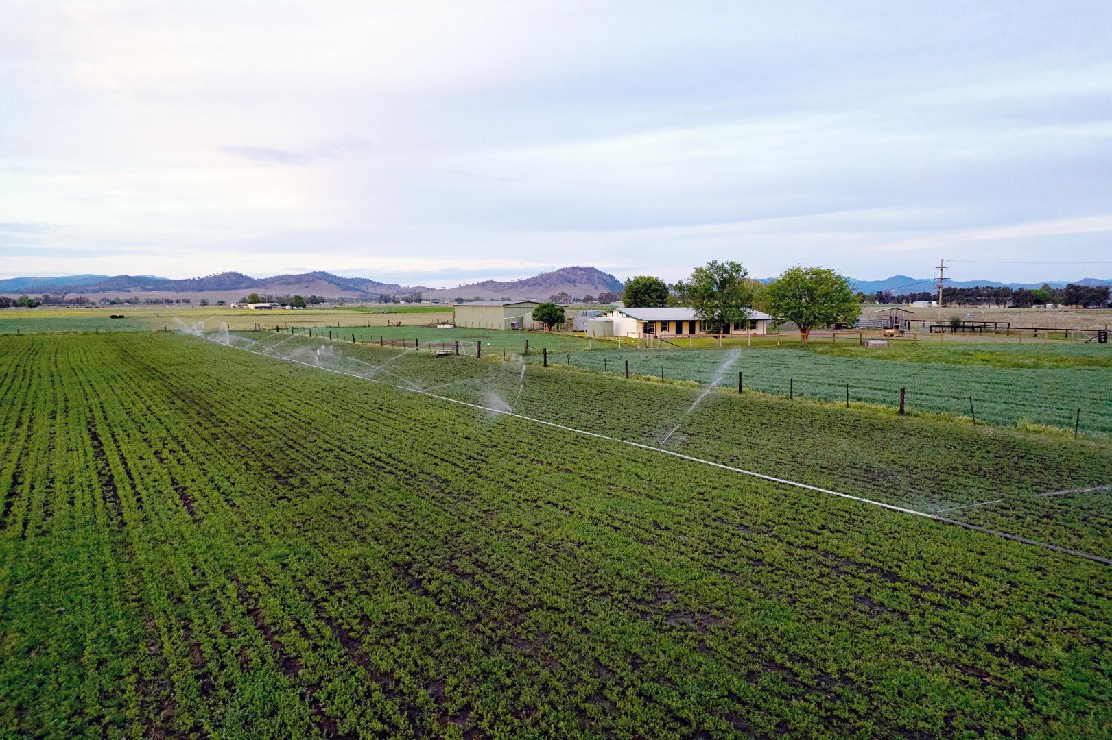 70 Blairmore Lane, Aberdeen NSW 2336 House for Sale Domain