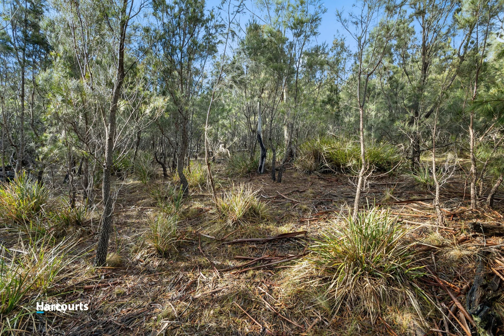 Image 10