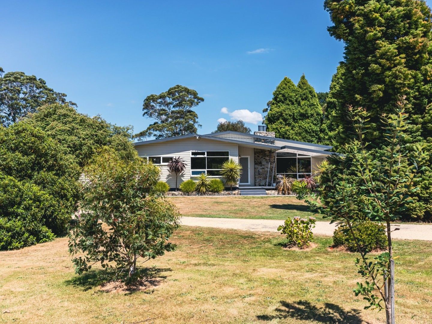 53 Argonaut Road, St Helens TAS 7216, Image 0