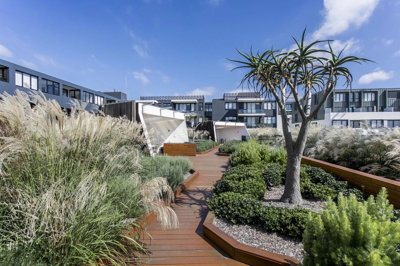 Additional image 10 of A606/72 MacDonald Street, Erskineville NSW 2043