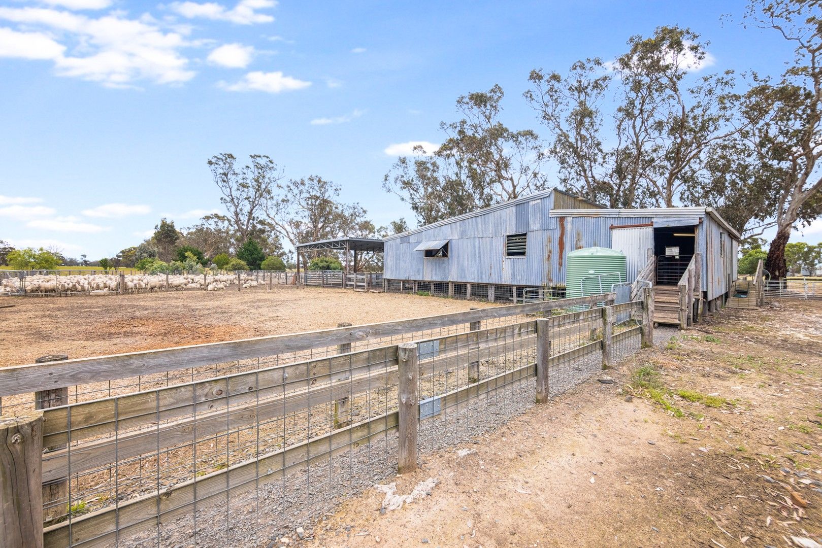 502 Dawsons Lane, Apsley VIC 3319 House for Sale Domain