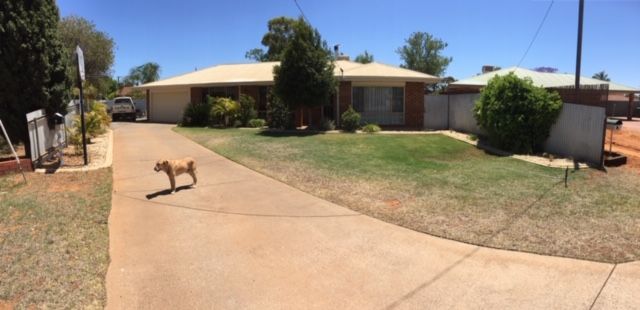 Picture of 7 Eccles Place, HANNANS WA 6430