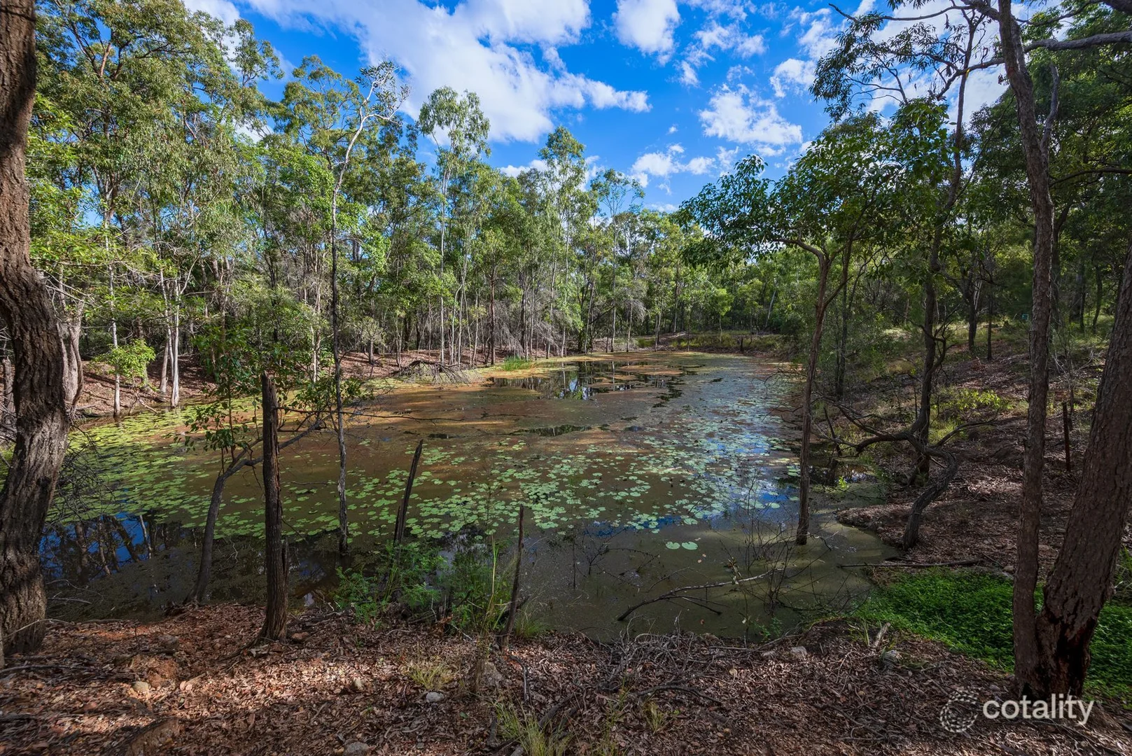 Additional image 13 of 115 Gorlicks Road, Branyan QLD 4670