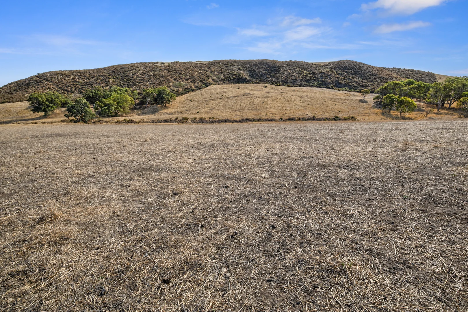 Additional image 18 of 300 Torrens Vale Road, Torrens Vale SA 5203