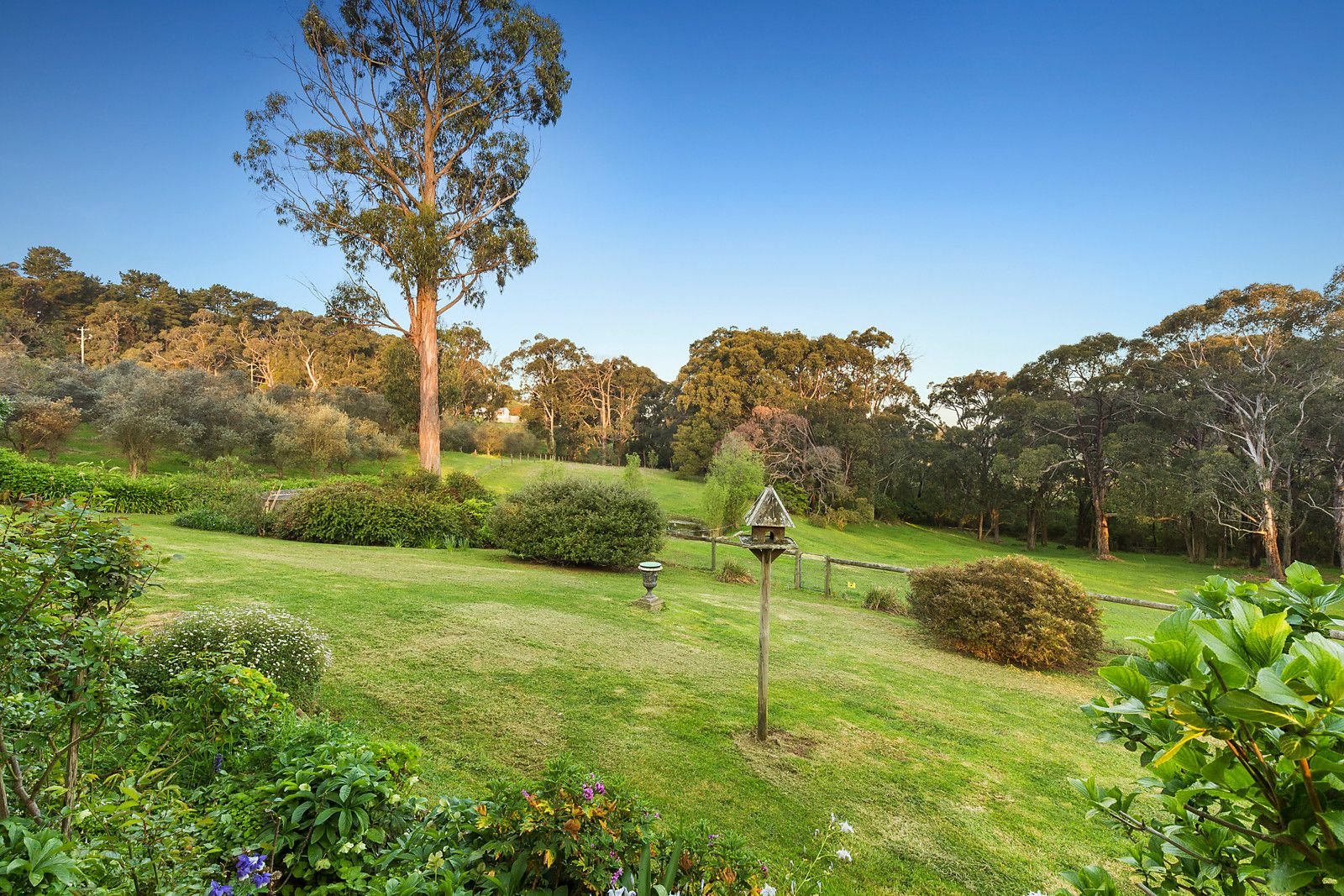 17 Callanans Road, Red Hill South VIC 3937, Image 2